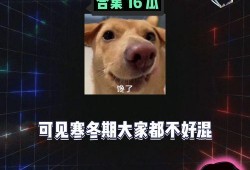 吃瓜爆料 八卦爆料网