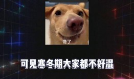 吃瓜爆料 八卦爆料网