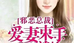 52每日大瓜视频 总裁夺爱失婚妻,一场错综复杂的情感纠葛